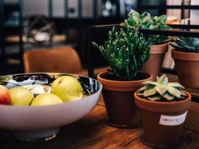 什么是料理包?料理包的主要特点有哪些?