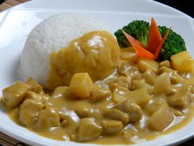 泉州秘传料理包批发 南亚咖喱鸡 方便菜 料理包 半成品菜 生鲜 盖浇饭 加热即食 下饭神器